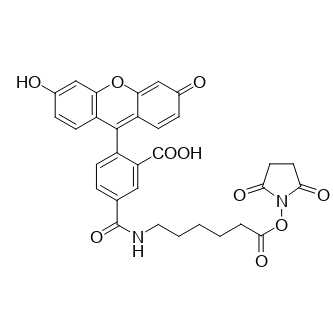 5-羧基荧光素琥珀酰亚胺酯,5-FAM-X, SE;(2,5-dioxopyrrolidin-1-yl) 6-[(3',6'-dihydroxy-3-oxospiro[2-benzofuran-1,9'-xanthene]-5-carbonyl)amino]hexanoate