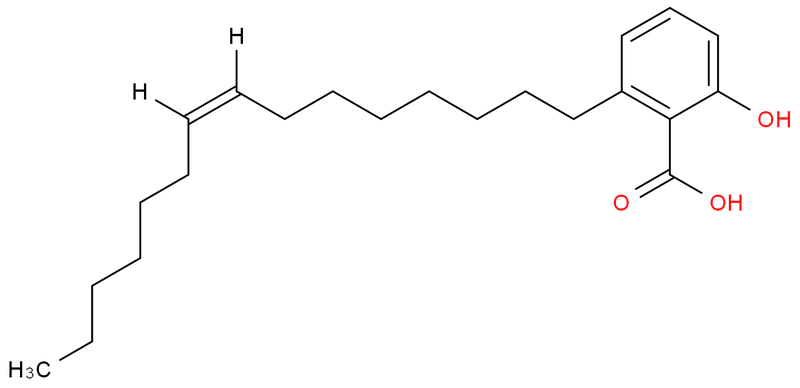 95%-98%银杏酸C15-1，C13-0，C17-1,Ginkgolic Acid C15-1，C13-0，C17-1