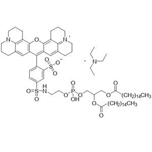 TEXAS RED-DHPE,Sulforhodamine 101 DHPE