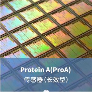 Protein A(ProA) 传感器（长效型）
