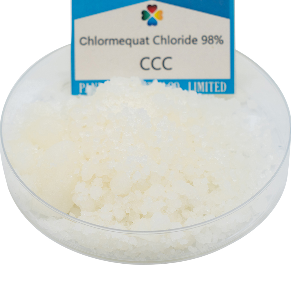 矮壮素,Chlormequat Chloride CCC