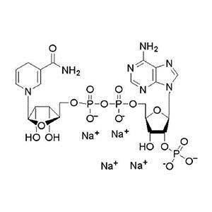 还原型辅酶Ⅱ