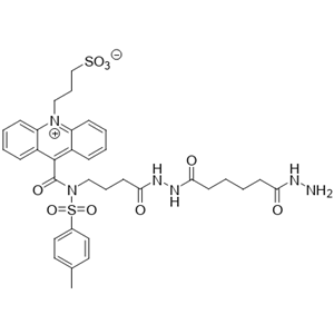 吖啶酰肼（NSP-SA-ADH）