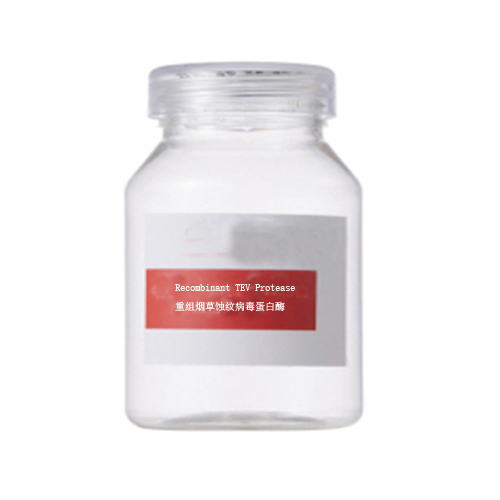 重組煙草蝕紋病毒蛋白酶,Recombinant Tobacco etch virus protease TEV Protease