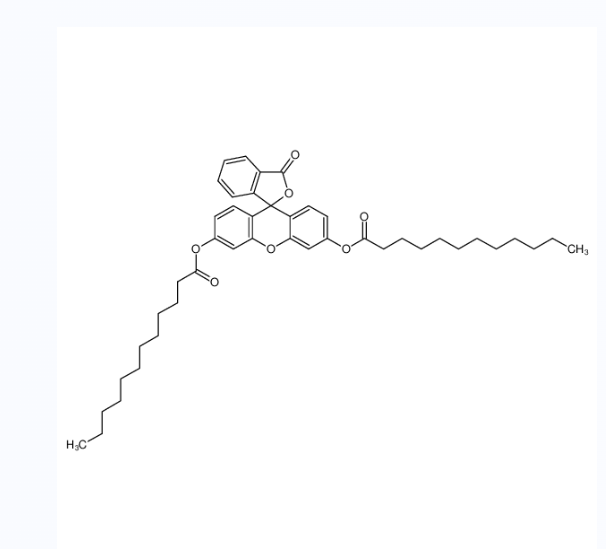 熒光素雙十二酸酯,(6'-dodecanoyloxy-3-oxospiro[2-benzofuran-1,9'-xanthene]-3'-yl) dodecanoate