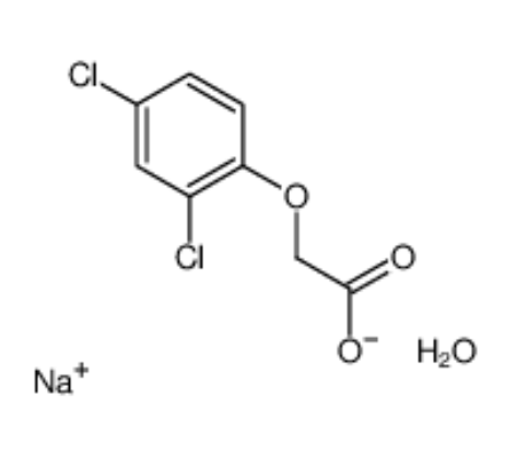 (2,4-二氯苯氧基)乙酸钠一水合物,2,4-DICHLOROPHENOXYACETIC ACID SODIUM