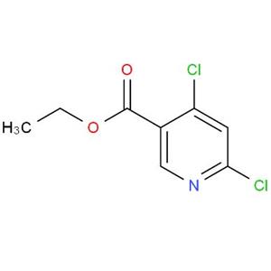 4,6-二氯烟酸乙酯,Ethyl 4,6-dichloronicotinate