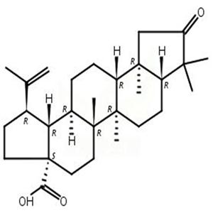 1-脱羧-3-氧代茶酸