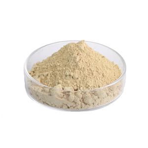 裂壶藻粉,Schizochytrium powder