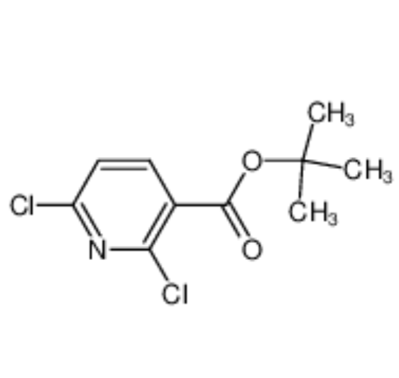 2,6-二氯煙酸叔丁酯,2,6-dichloro-3-Pyridinecarboxylic acid