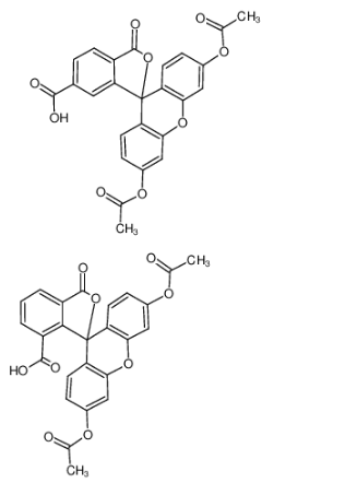 5(6)-羧基荧光素二乙酸酯,5(6)-CFDA