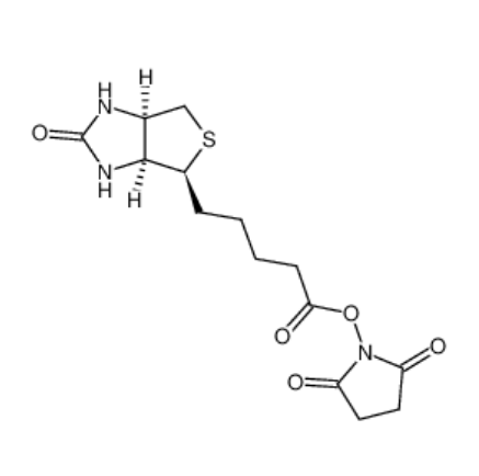(+)生物素-N-琥珀酰亚胺基酯,BIOTIN-NHS