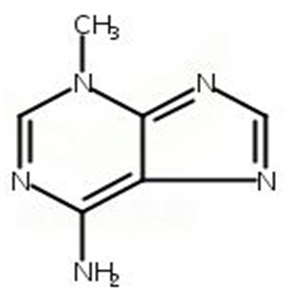 6-氨基-3-甲基嘌呤,6-Amino-3-methylpurine