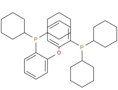双(二环己基膦基苯基)醚,Bis(2-dicyclohexylphosphinophenyl)ether