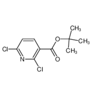 2,6-二氯煙酸叔丁酯,2,6-dichloro-3-Pyridinecarboxylic acid