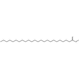 木蜡酸甲酯；二十四酸甲酯;木焦油酸甲酯;二十四烷酸甲酯