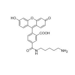 5-羧基荧光素尸胺   1006585-56-3