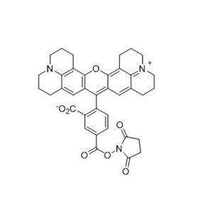 5-羧基-X-罗丹明琥珀酰亚胺酯  209734-74-7