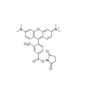 5-羧基四甲基罗丹明琥珀酰亚胺酯   150810-68-7