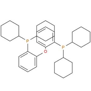 双(二环己基膦基苯基)醚,Bis(2-dicyclohexylphosphinophenyl)ether