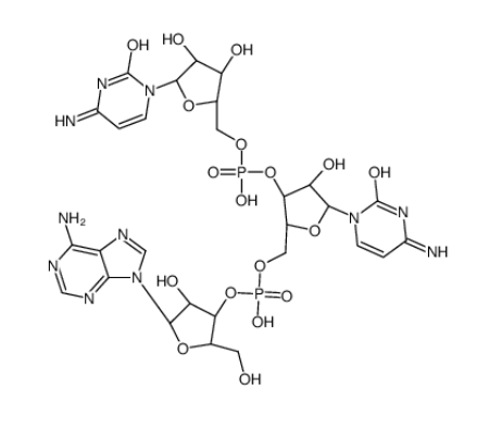 腺嘌呤基(3’-5’)胞苷酰(3’-5’)胞苷