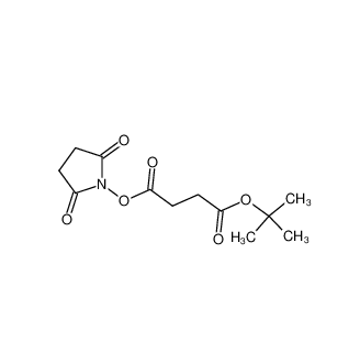 1-叔丁基2,5-二氧吡咯烷 -1-丁二酸酯,1-tert-butyl 2,5-dioxopyrrolidin-1-yl butanedioate