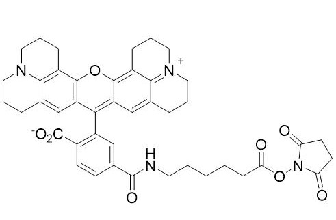 6-羧基-AHA-罗丹明琥珀酰亚胺酯,6-ROX-AHA SE