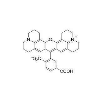 6-羧基-X-羅丹明,6-ROX