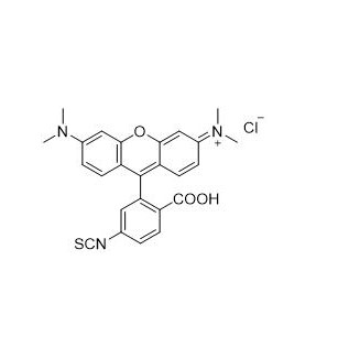 四甲基羅丹明-6-異硫氰酸,TRITC