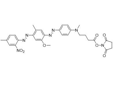 BHQ-1 琥珀酰亚胺酯,BHQ-1 NHS