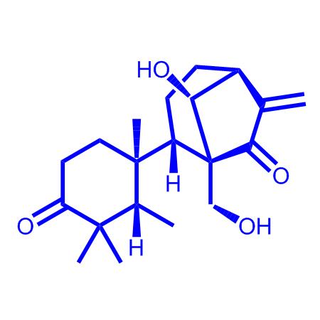 蓝萼甲素,Glaucocalyxin A