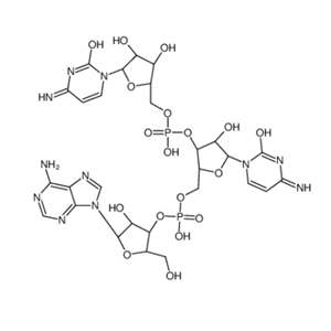 3128-37-8；腺嘌呤基(3’-5’)胞苷酰(3’-5’)胞苷