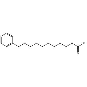 苯十一酸,PHENYLUNDECANOICACID