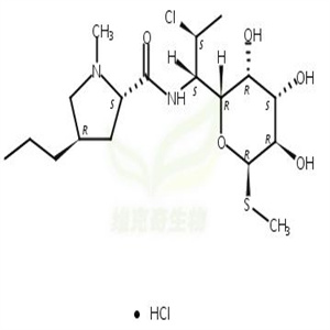 盐酸克林霉素,Clindamycin hydrochloride