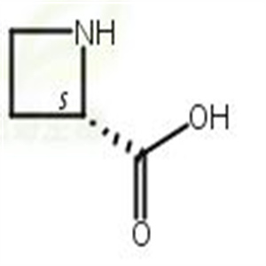 L-吖啶-2-羧酸,L-2-Azetidinecarboxylic acid
