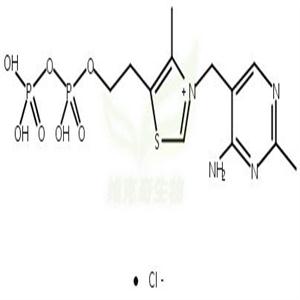 硫胺素焦磷酸