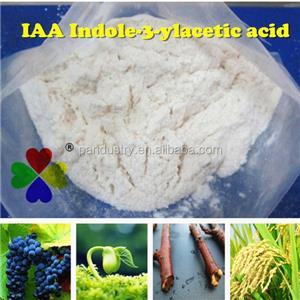 吲哚乙酸,indole-3-acetic acid,IAA