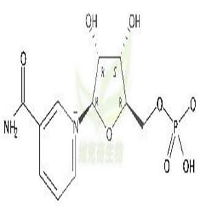 β-烟酰胺单核苷酸,β-Nicotinamide Mononucleotide