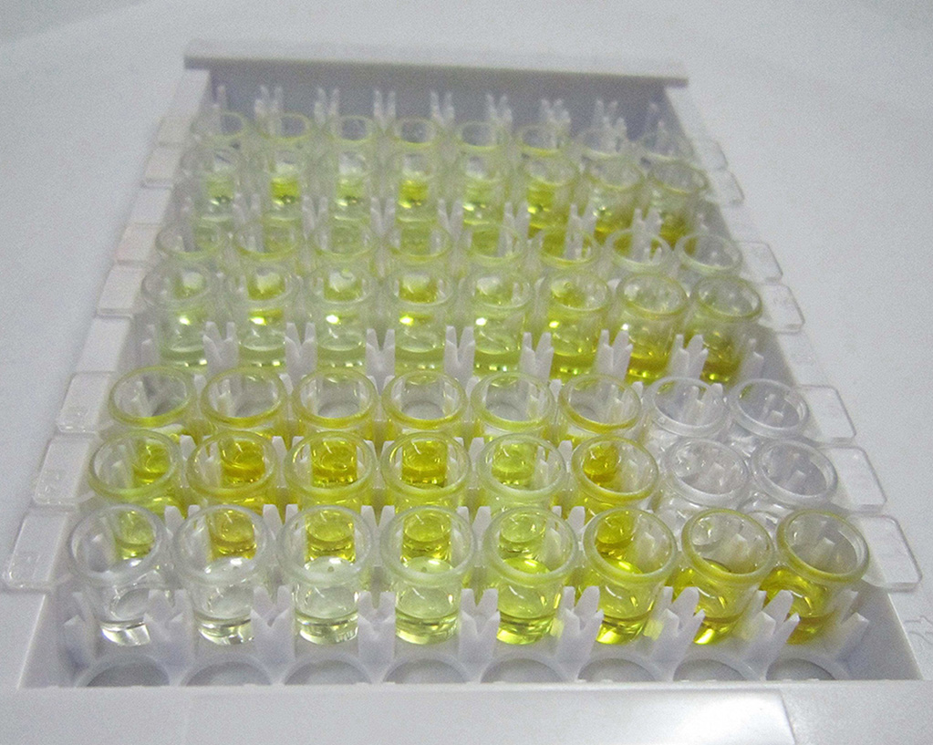 大鼠1-磷酸鞘氨醇(S1P)ELISA試劑盒,Sphingosine-1-phosphate ELISA Kit