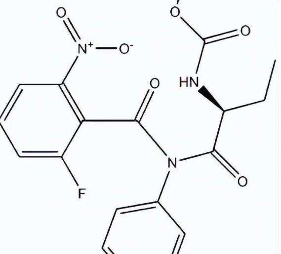 A/B/O型紅細(xì)胞定制