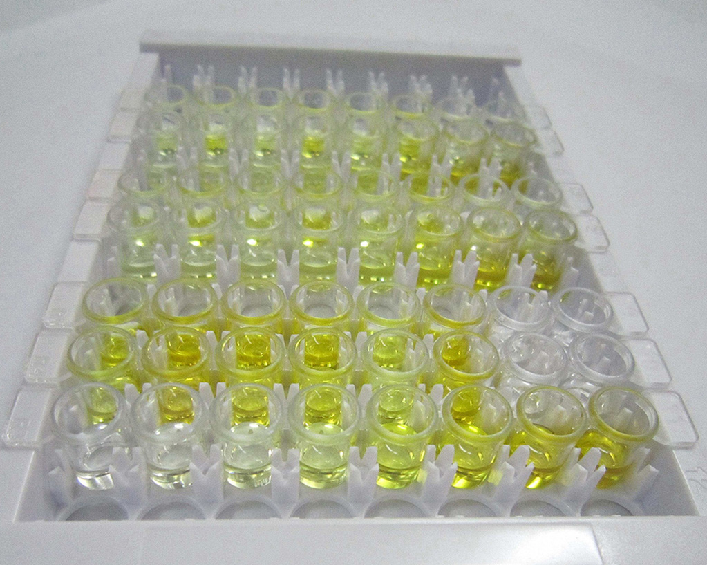 多合一MIRNA QRT-PCR检测试剂盒2.0,All-in-One miRNA qRT-PCR Detection Kit 2.0