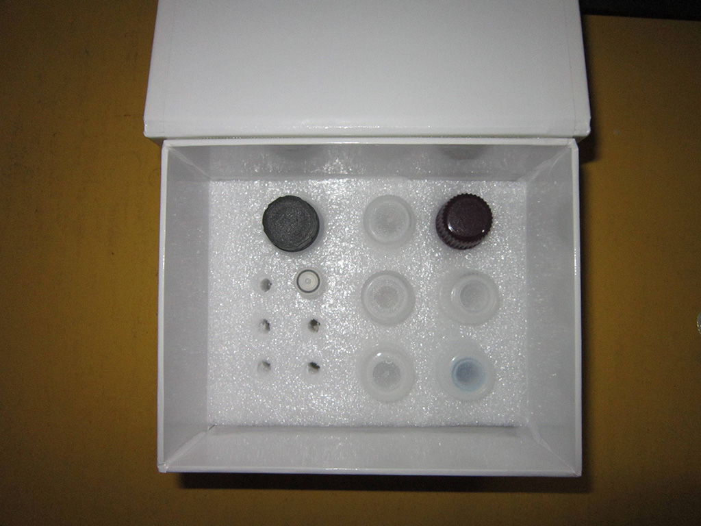 ELISA Kit 4 Latex Allergens（乳膠過敏原）,ELISA Kit 4 Latex Allergens