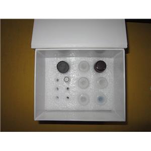 蛋白A ELISA试剂盒