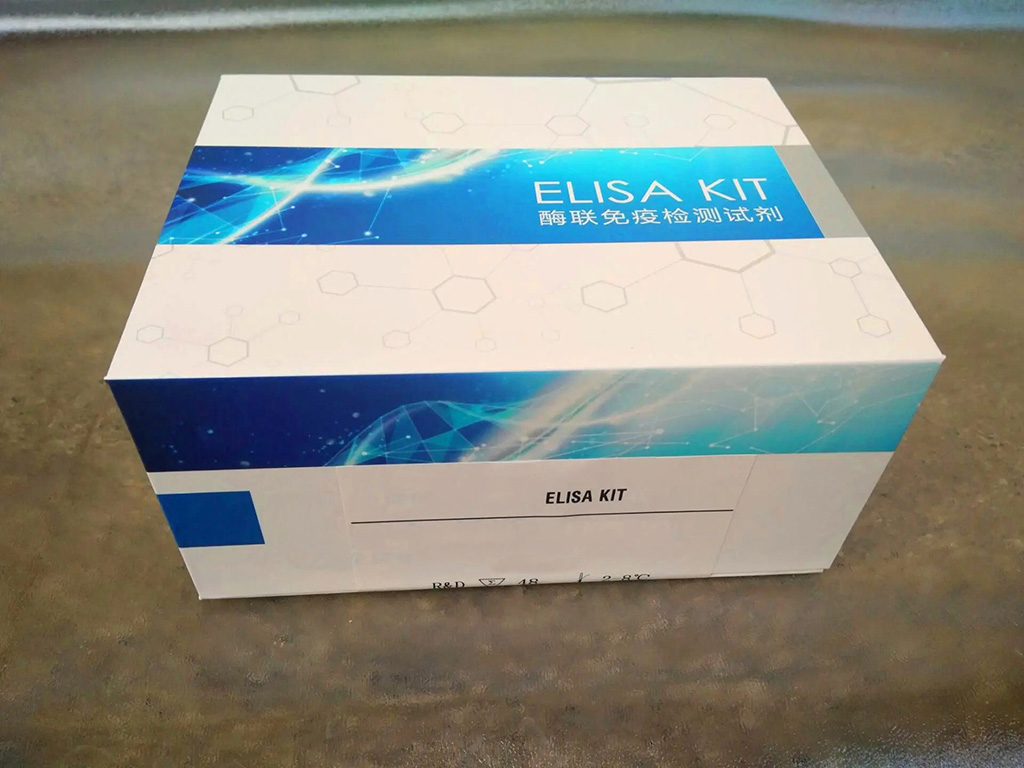噬菌体DNA提取试剂盒,Phage DNA Isolation Kit