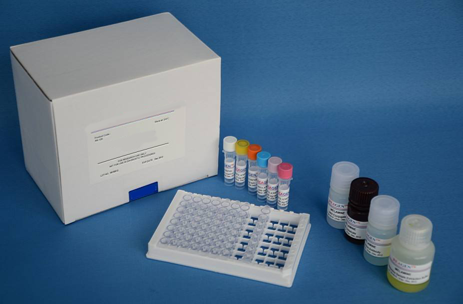 外泌体RNA提取试剂盒（基于完整的外泌体）,Exosomal RNA Isolation Kit (for use with Urine Exosome Purification Kits or Plasma/Serum Exosome