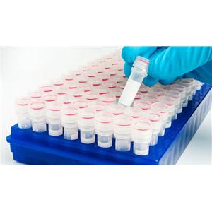 蛋白靶向降解嵌合体PROTAC 试验试剂盒