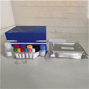 小鼠干扰素γ，IFN-γ，ELISpot试剂盒,Mouse IFN-gamma ELISpot PLUS kit (ALP), strips