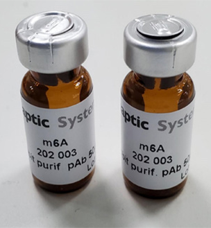 2-氨基-3,8-二甲基咪唑并[4,5-f]喹喔啉,2-Amino-3,8-dimethylimidazo[4,5-f]quinoxaline