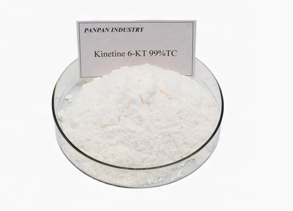 激動素,N6-Furfuryladenine 6KT Kinetin