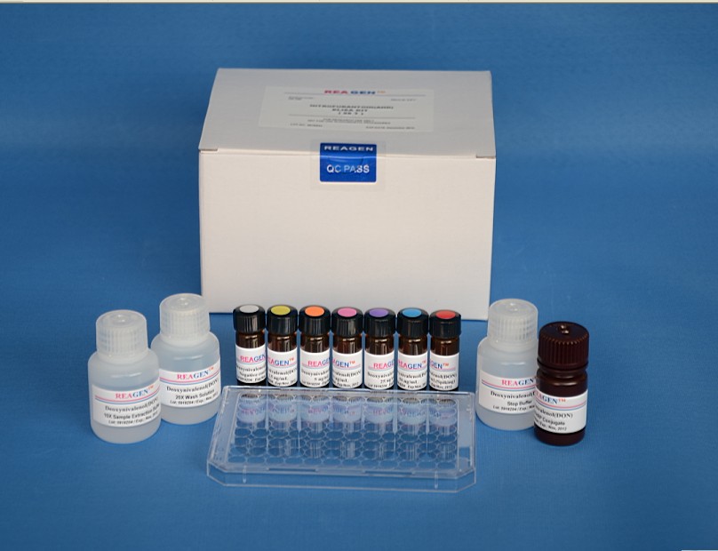 NADH检测试剂盒(比色法),Amplite Colorimetric NADH Assay Kit